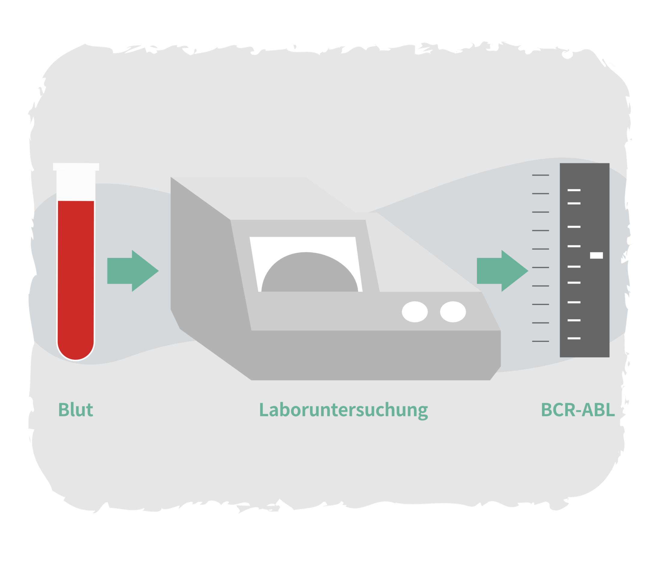 Diagnose Der Erkrankung | Leben-mit-blutkrankheiten.de