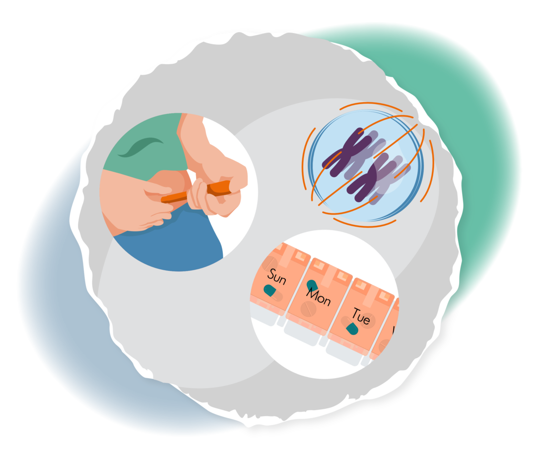 CML – Therapieoptionen Und -ziele | Leben-mit-blutkrankheiten.de